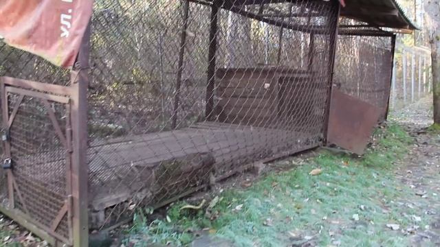 Ралли Рэйд "Лютый" Хабаровск 2014 смотреть онлайн