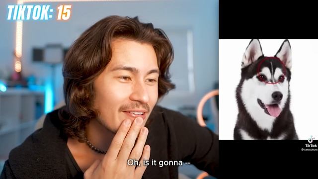 FUNNY TikToks To Make Your Day Better | Part 2! смотреть онлайн