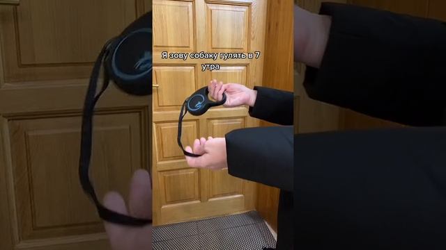 Идем гулять. Чихуахуа #приколысобаки #РЕКОМЕНДАЦИИ #смешныеролики #животные #чухуахуа❤️ смотреть онлайн