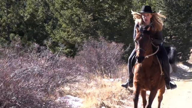 Pine Beetle Ridge clip - Maggie Alexander's horseback riding reel смотреть онлайн
