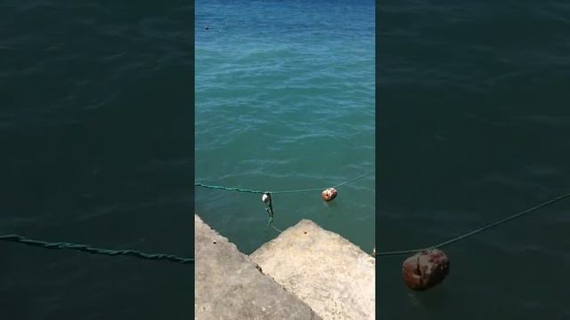 Дедеркой чёрное море смотреть онлайн