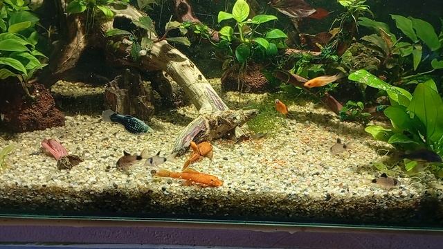 кушать🤣🤣🤣