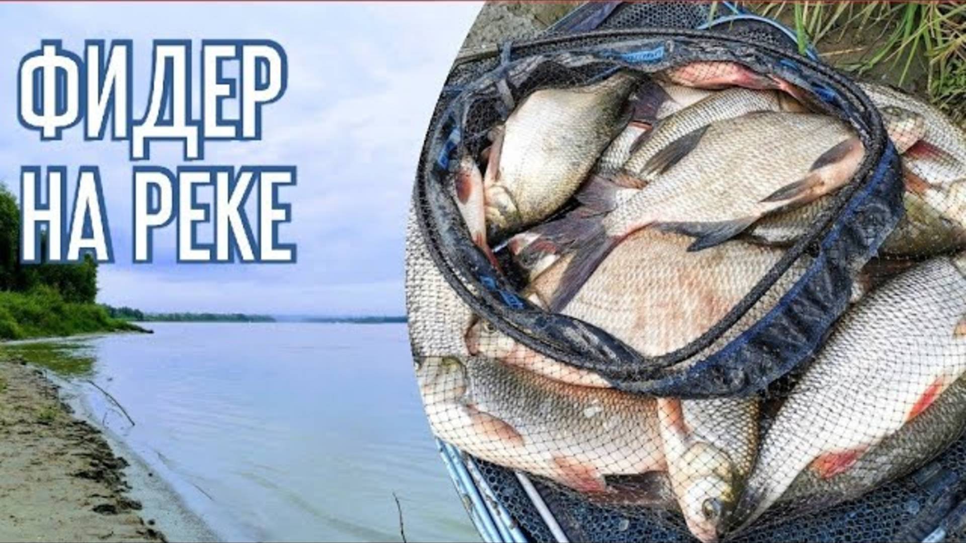 Рыбалка 2022. Ловля леща и язя. Фидер на реке. смотреть онлайн