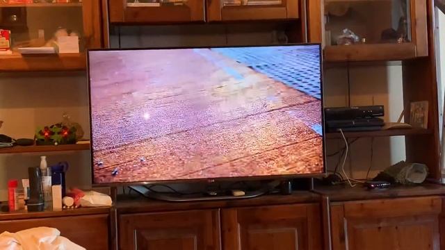 Bug DAZN aprendo dalla home di Android tv смотреть онлайн