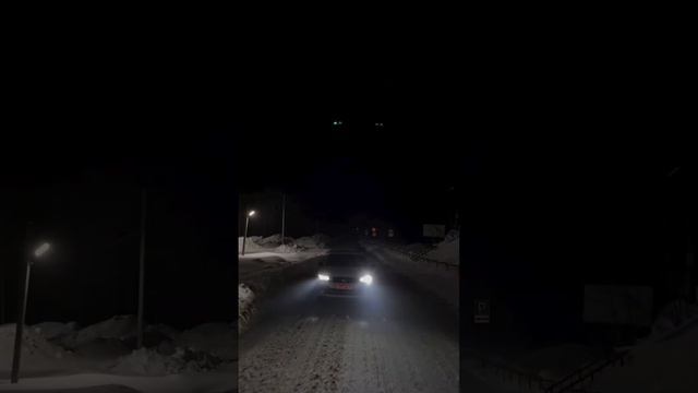 Tiguan - мой ласковый зверь