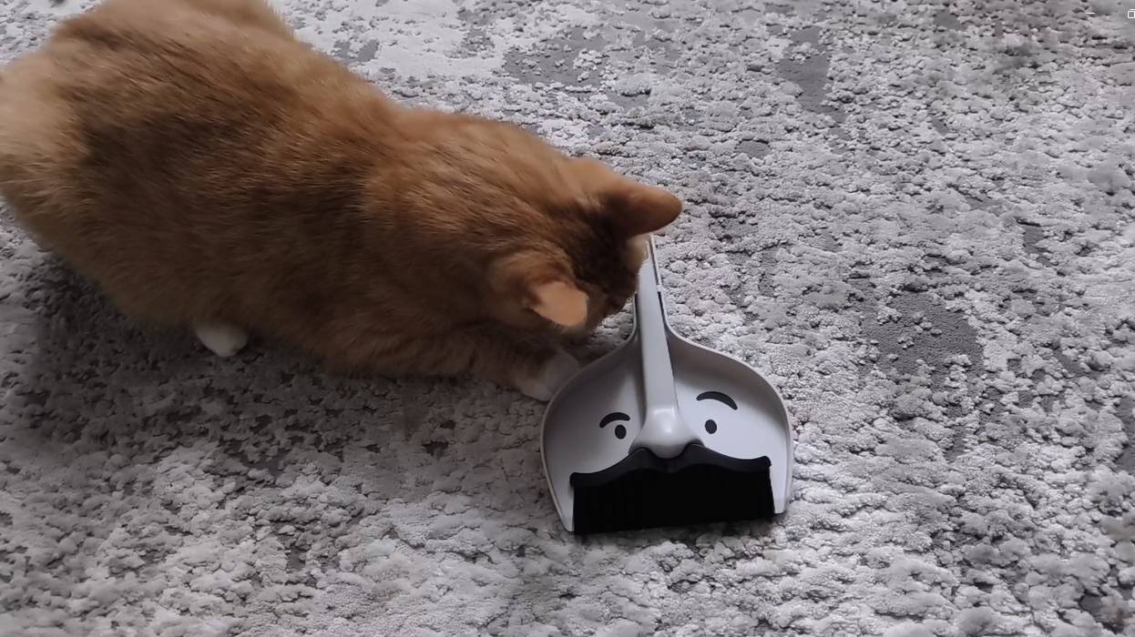 Как избавиться от наполнителя в квартире. Совок и щетка помогут навести чистоту и порядок в доме. смотреть онлайн