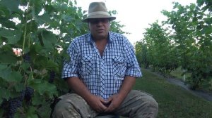 Питомник "Солнечный"  Ульяновск