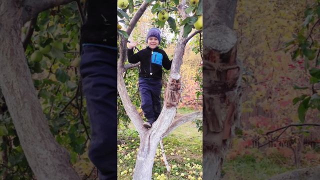 Это мы! смотреть онлайн