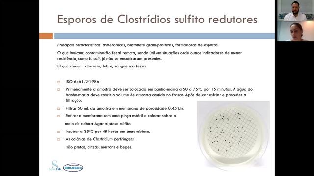 Interpretação Da IN60 - Melina Noschang