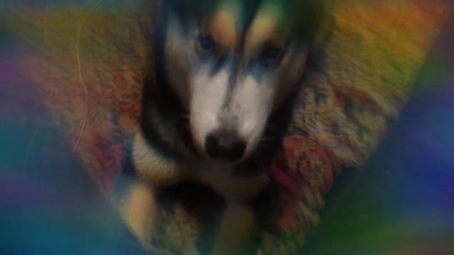 НЕ ХВАТАЕТ ВНИМАНИЕ