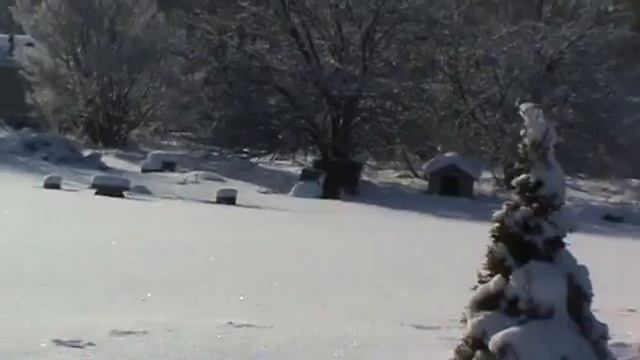 Архив 14- ти летней давности // Наш бывший дом в Мичигане // зима много снега. // США смотреть онлайн