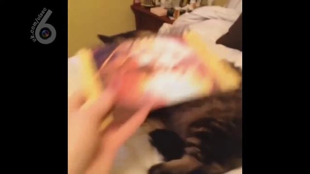 Рецепт плова смотреть онлайн