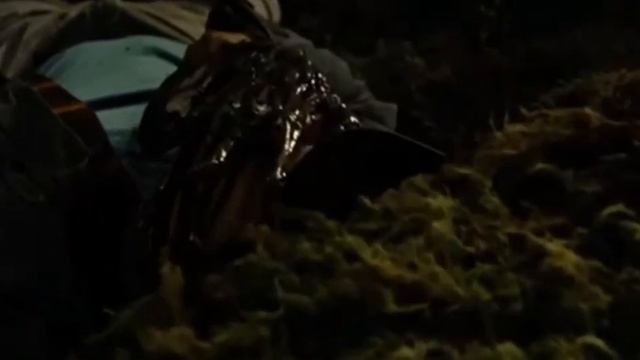 Alien vs predator requiem 🎬 | The hunt begin смотреть онлайн