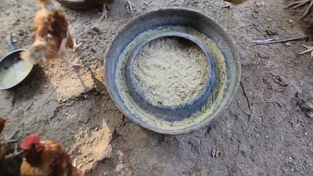 ЖИЗНЬ В ДЕРЕВНЕ ЛУЧШЕ ЧЕМ В ГОРОДЕ // АМЕРИКАНСКАЯ ДЕРЕВНЯ. смотреть онлайн