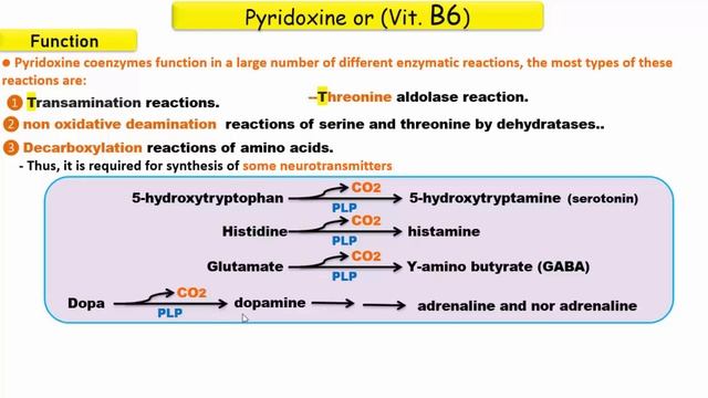 Vitamins revision + MCQs смотреть онлайн