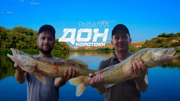 Рыбалка на реке Дон  Ловля судака. Коротояк.
