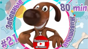 Забавные и Смешные Животные №21 + Приколы с Животными + Лучшие Подборки про Животных