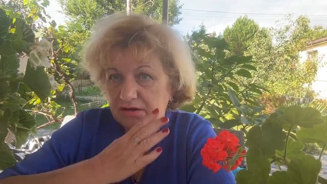 Сама придумала , сама удивилась … смотреть онлайн
