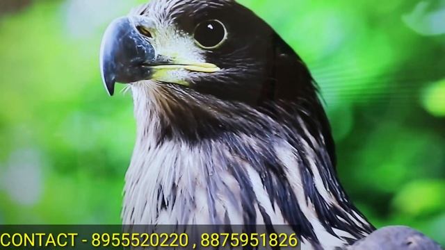 4K LED TV best price wholesale market in delhi / cheapest led tv market in delhi/सबसे सस्ता 65” #le смотреть онлайн