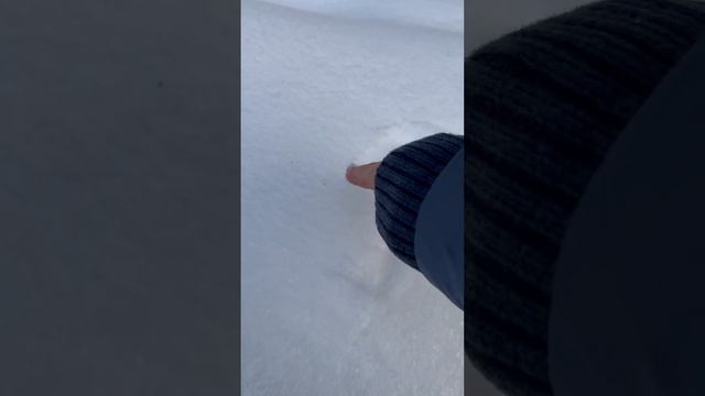 С днём ВЛЮБЛЕННЫХ ❤️ смотреть онлайн