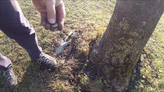 Little Finds While Metal Detecting. XP Deus V5