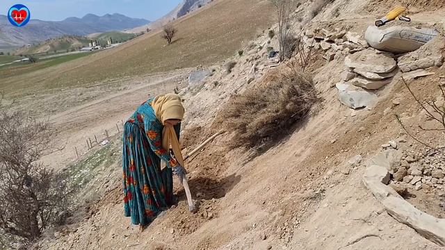 Powerful nomadic lady: building a big and beautiful garden next to the spring🌏🏞️💪 смотреть онлайн