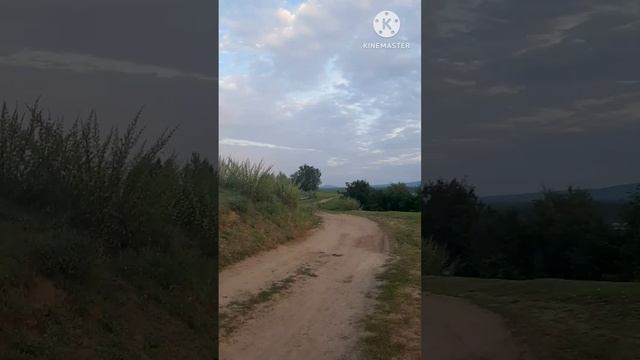 #Дельгей смотреть онлайн