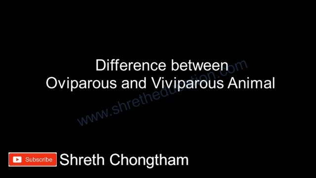 Differences смотреть онлайн