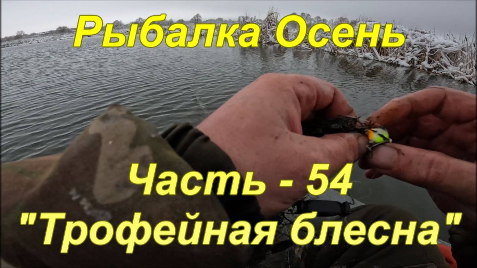 Рыбалка. Осень. Часть - 54. "Трофейная блесна". смотреть онлайн