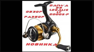 DAIWA 23 legalis LT 2000 s-p . ОБЗОР, РАЗБОР.