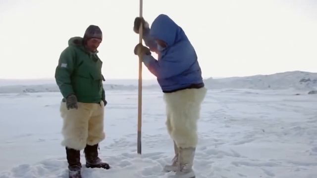 ЭТО случилось на нашей Земле в Феврале 2018 смотреть онлайн