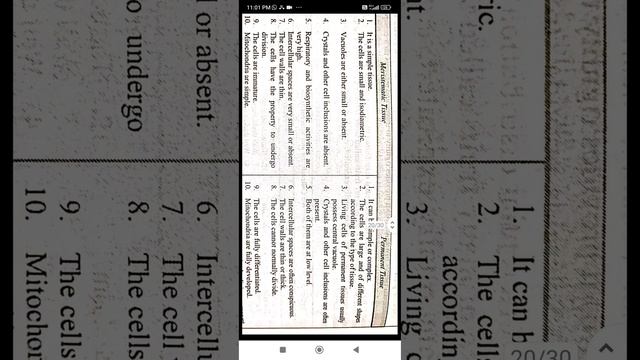 difference between meristematic and permanent tissue best handwritten study notes смотреть онлайн