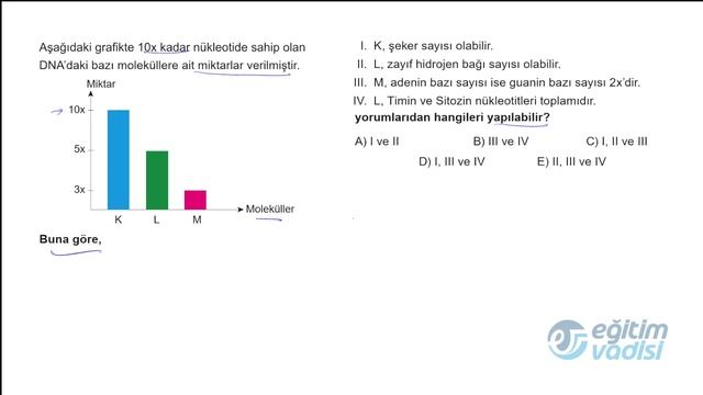9 Sınıf Biyoloji Multi Soru Bankası 01 Bölüm Test 24 Soru Çözümleri смотреть онлайн