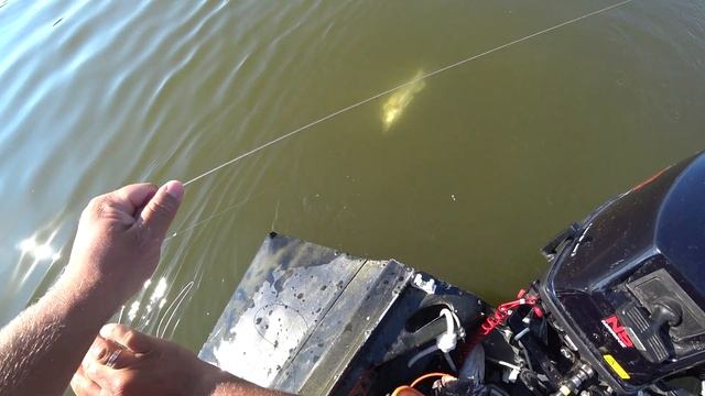 Как поймать судака на живца. Очень эффективная снасть. смотреть онлайн