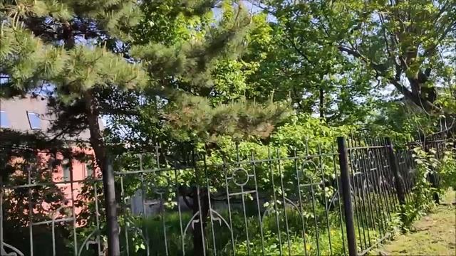 От Привокзальной площади до Посьетской . Владивосток смотреть онлайн
