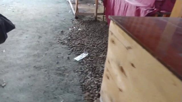 ТАНҚИД БОР ЖОЙДА РИВОЖЛАНИШ БЎЛАДИ ВИДЕОНИ НАТИЖАСИ смотреть онлайн