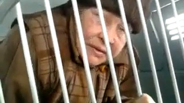 Дура В Клетке смотреть онлайн