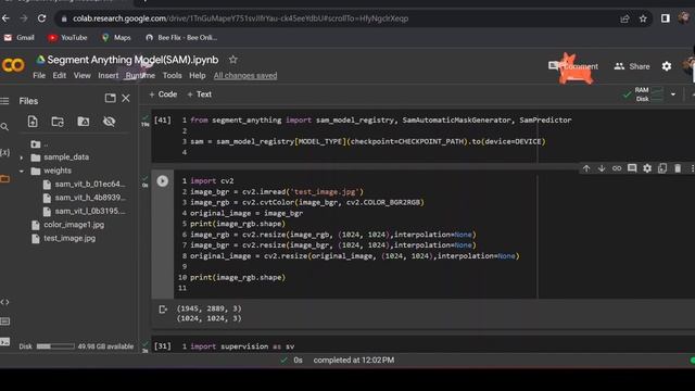 Segment Anything Model in Python| SAM | A to Z | Segment Anything Model (SAM) смотреть онлайн