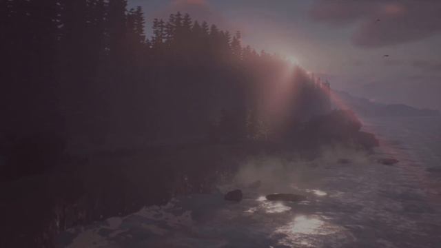 Am I Supposed To Be Doing This? - Life Is Strange 2