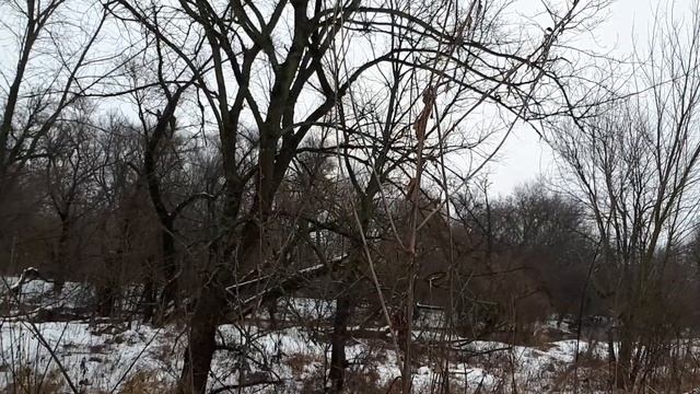 Небо в попугаях или Пойнтер по уткам смотреть онлайн