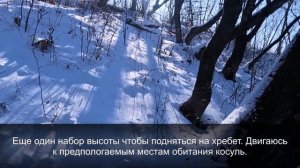 Охота с Подхода.\\ Закрытие сезона по Копытным.\\ Охота в Приморском Крае.\\ 9 января.