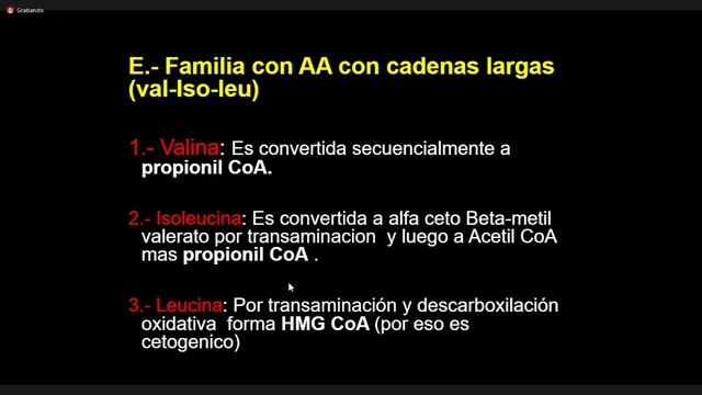 Bioquímica - Aminoácidos смотреть онлайн