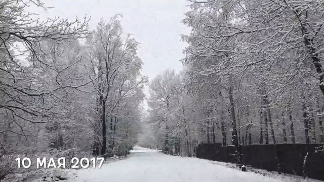 Малоснежное подмосковное лето. 10 мая 2017. смотреть онлайн