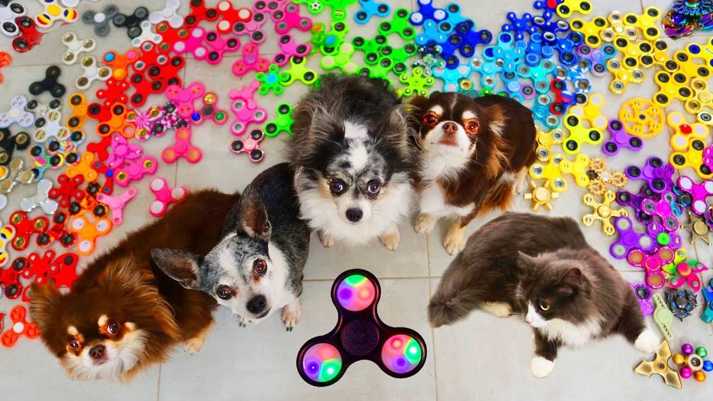 1000 спиннеров челлендж! КТО ПОСЛЕДНИЙ ПОЛУЧАЕТ ПРИЗ! ВОЛШЕБНЫЕ ПИТОМЦЫ СОРЕВНУЮТСЯ В СПИННЕРСТВЕ смотреть онлайн