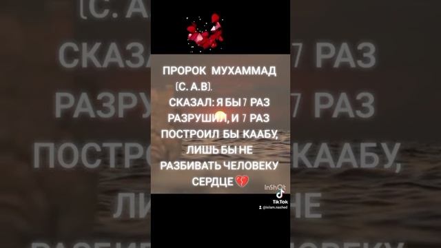 Нашид о любви смотреть онлайн