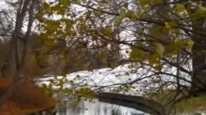Валерий Агафонов   Глядя на луч пурпурного заката  xvid
