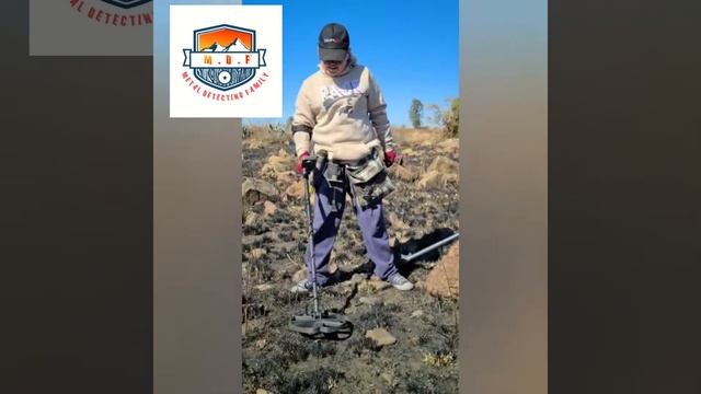 Metal Detecting finds With Equinox 800 & Simplex + смотреть онлайн