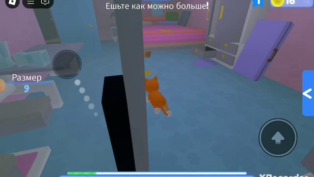 надо выбежать из зоо магазина !!! как можно скорее !! смотреть онлайн