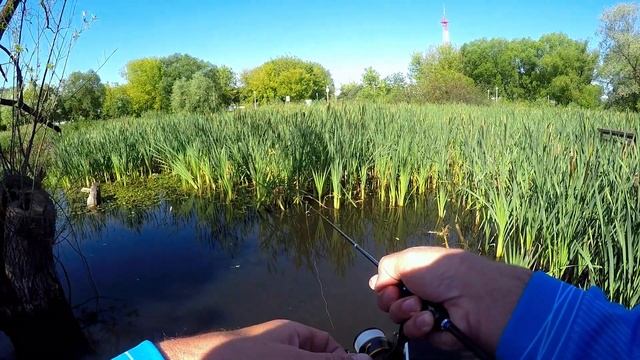 Водоём не для Мормышинга. Duel The One Hardcore #0.1. Gammarus смотреть онлайн