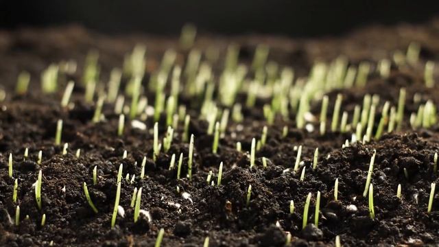 Why Am I So Thirsty? #excessivethirst #thirsty смотреть онлайн